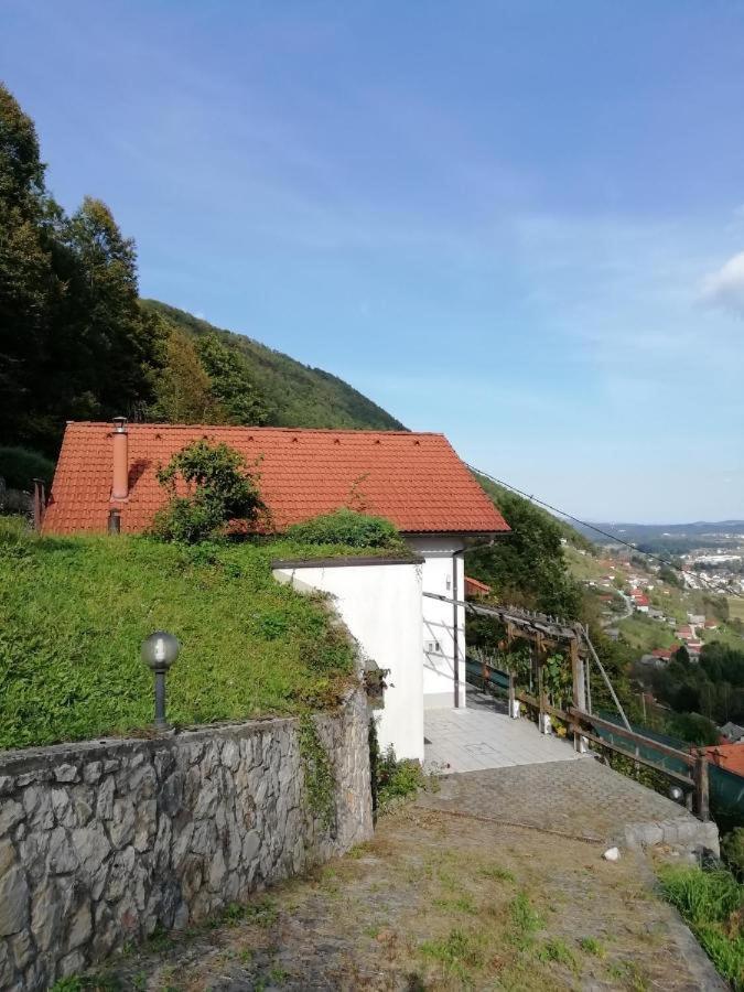 Wine House, Zidanica Gruden Villa Novo Mesto Bagian luar foto
