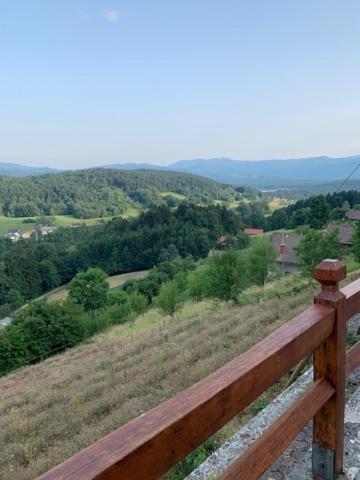 Wine House, Zidanica Gruden Villa Novo Mesto Bagian luar foto
